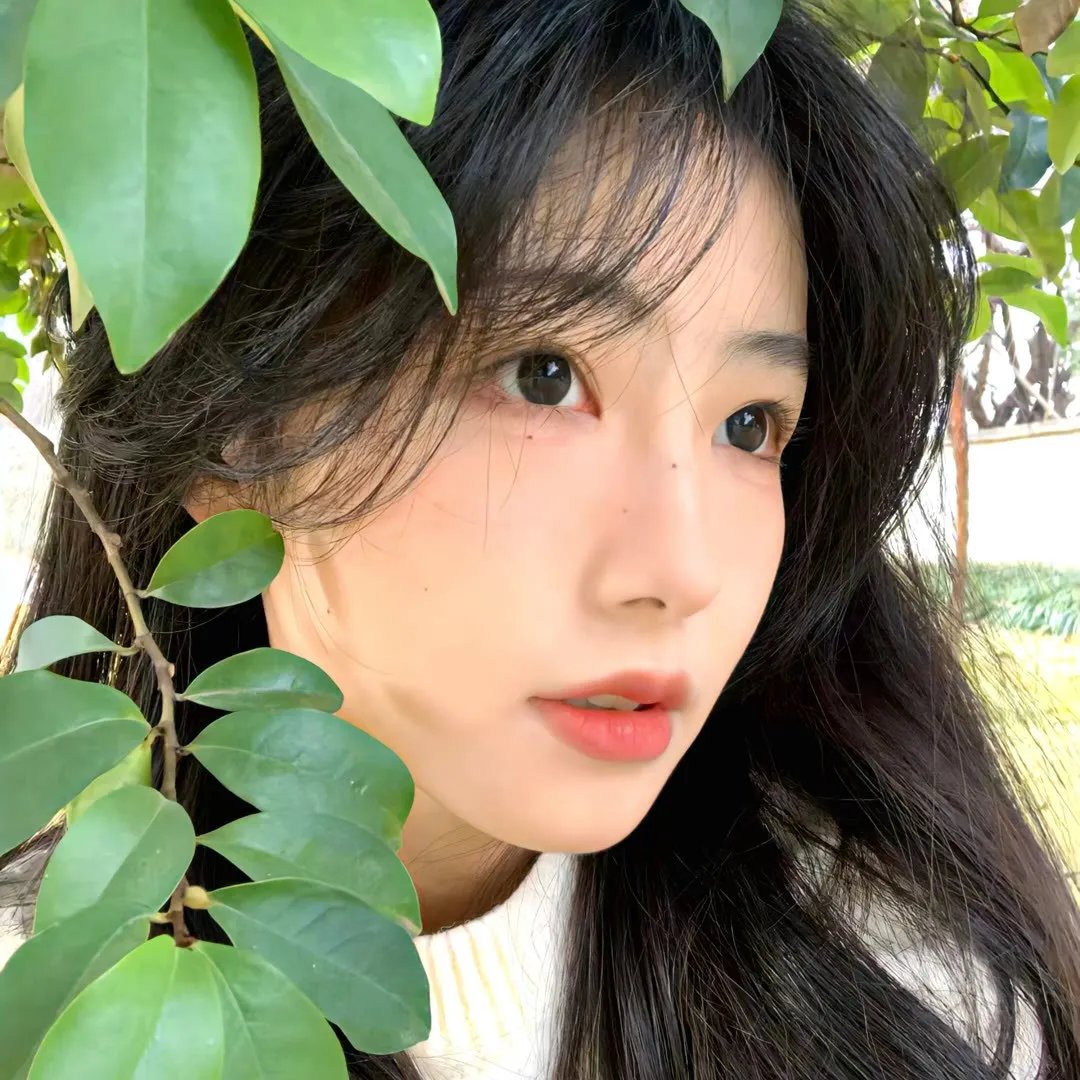 第六感泰版